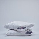 100% Goose Down Comforter Combo - Light 