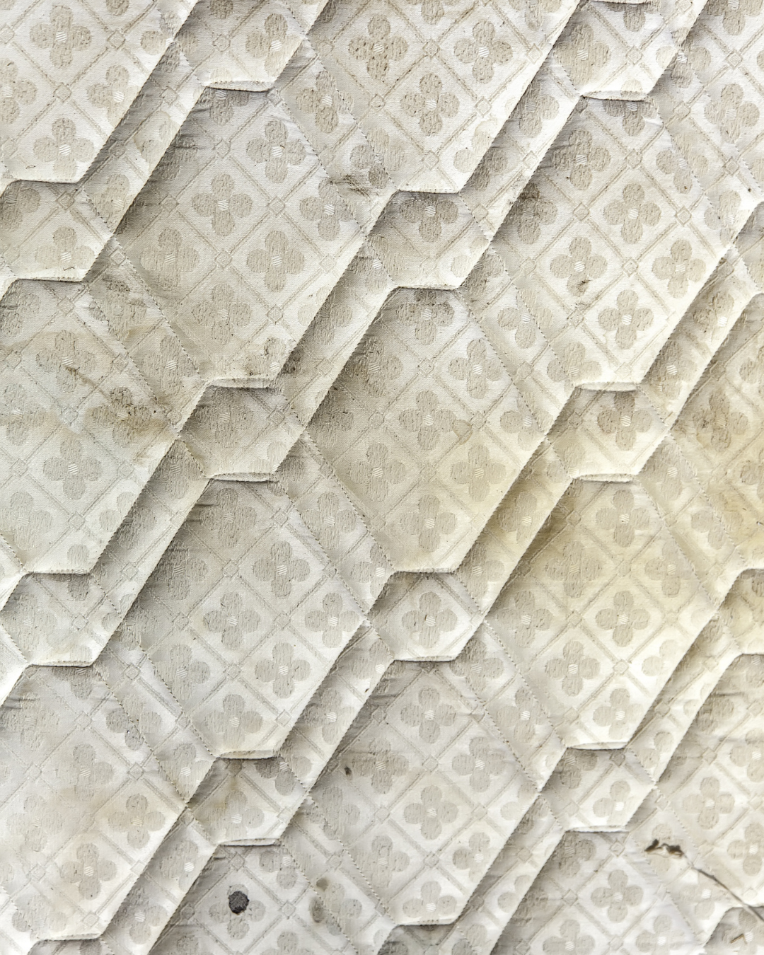 ČIUŽINIO APSAUGA  ČIUŽINIO APSAUGA