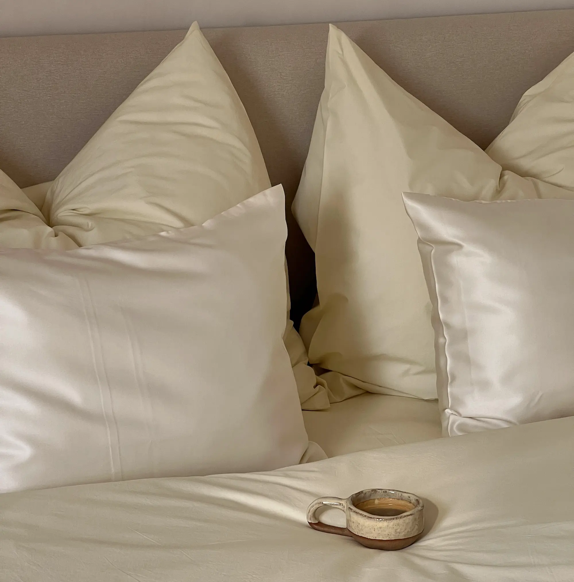 Pure Mulberry Silk Pillowcase