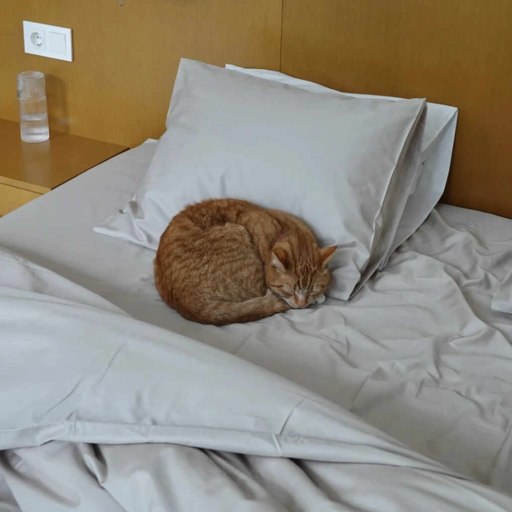 Bedroommood sateen pillowcases beige